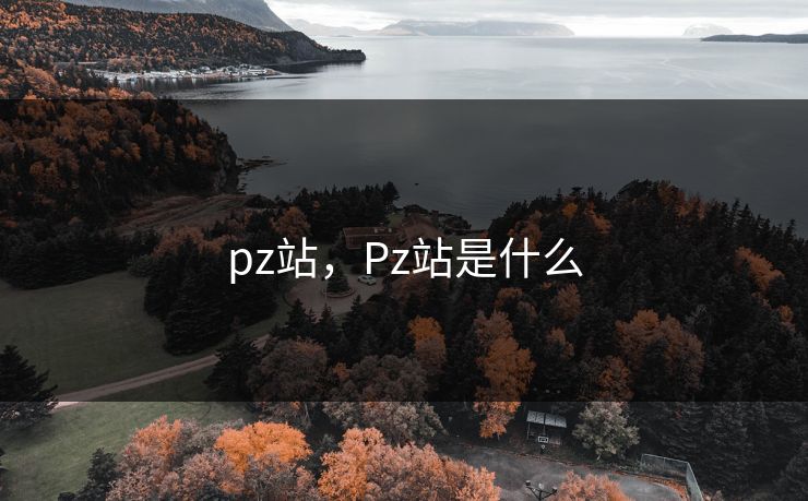 pz站，Pz站是什么