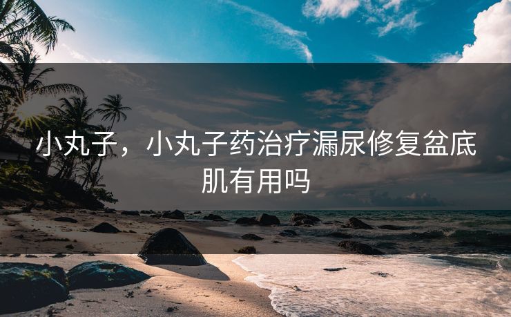 小丸子，小丸子药治疗漏尿修复盆底肌有用吗  第1张